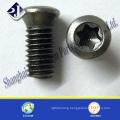 Antitheft Screw Thief Proof Screw